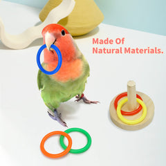 HOORITO bird skateboard toy encourages exploration and interactive play for parrots.