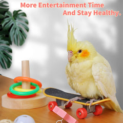 HOORITO stacking toy supports training parakeets with cooperative play.