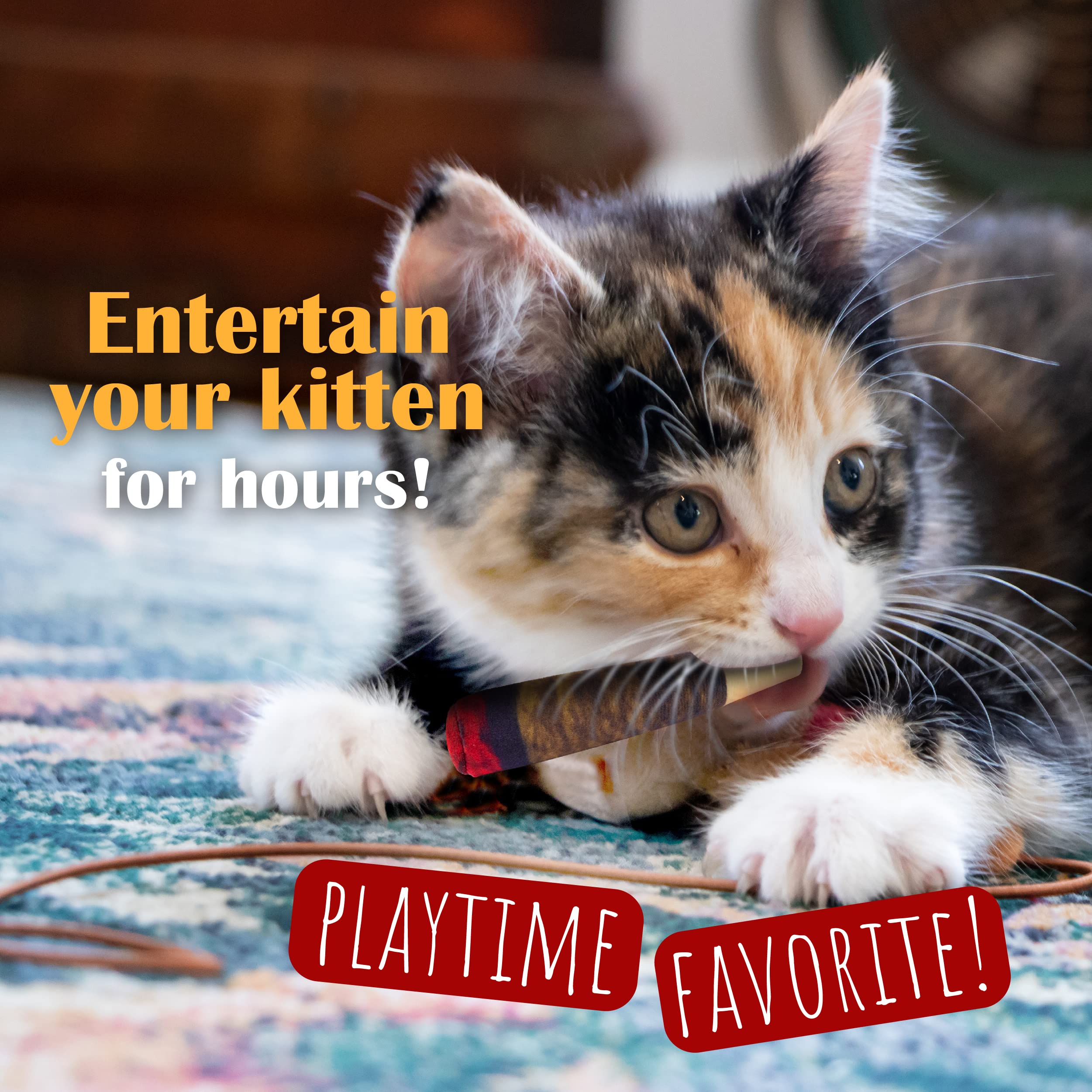 Hoovy Catnip Toy Doobies with curious kitten during playtime.