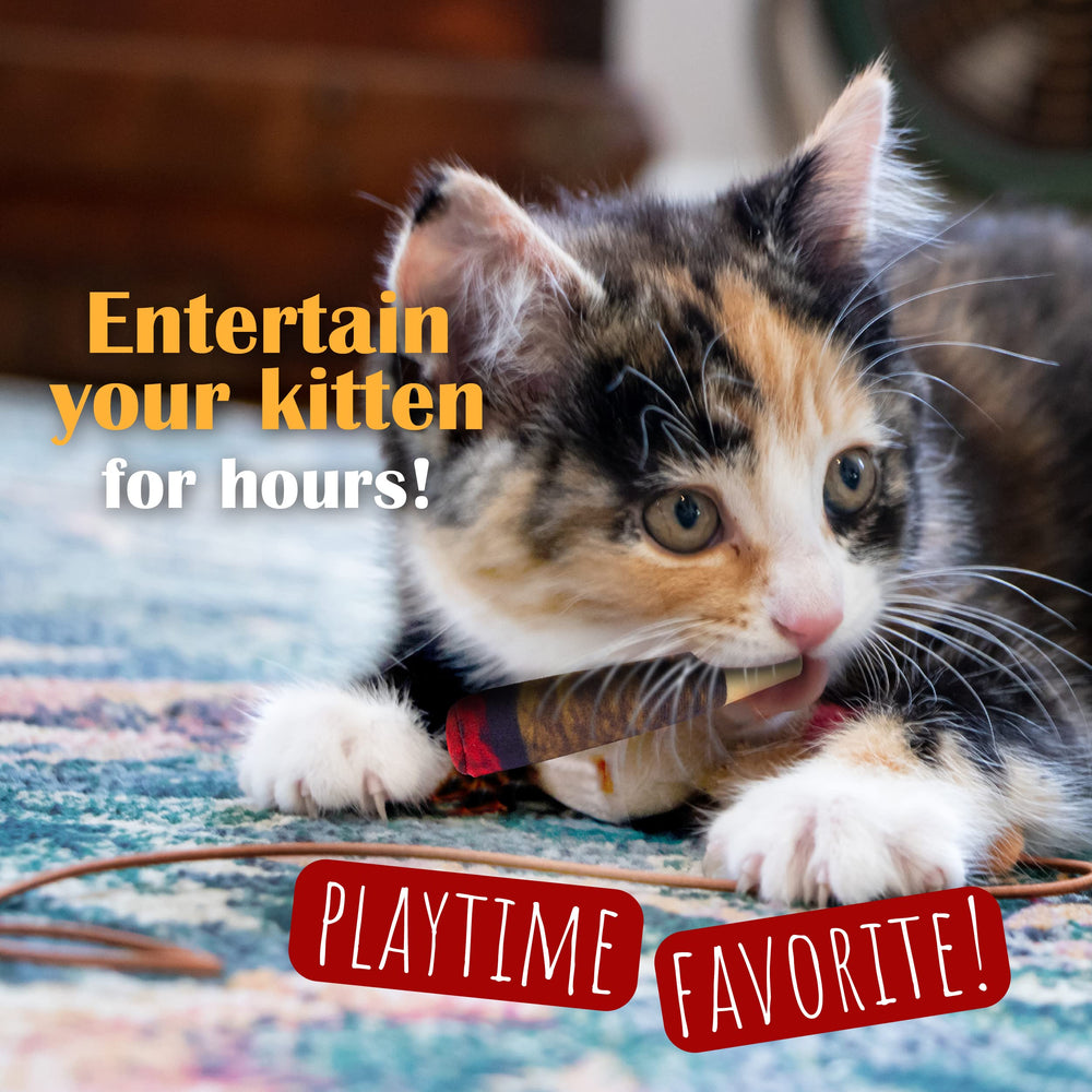 Hoovy Catnip Toy Doobies with curious kitten during playtime.