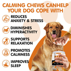 Hoozzch Calming Chews chicken-flavor closeup tasty relief for anxious pups.