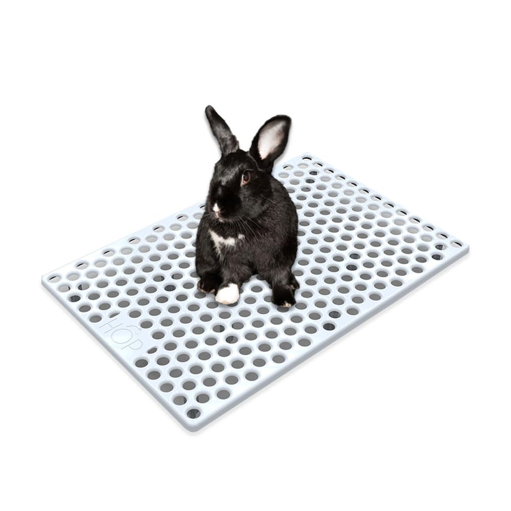 HOP Rabbit Litter Box top view shows tidy, enclosed design reducing hay spills.