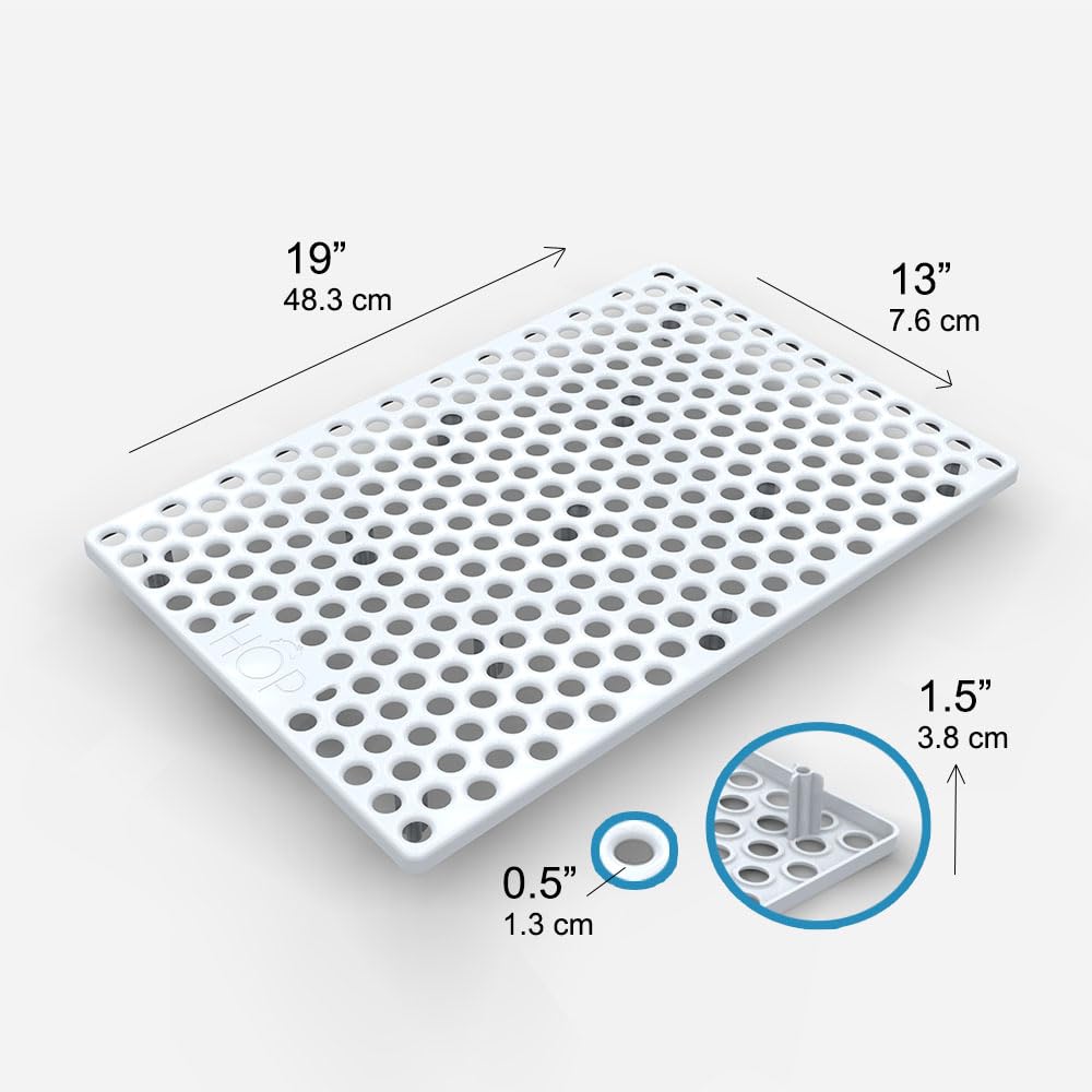 HOP spacious setup for two rabbits conveys comfort and room to move.