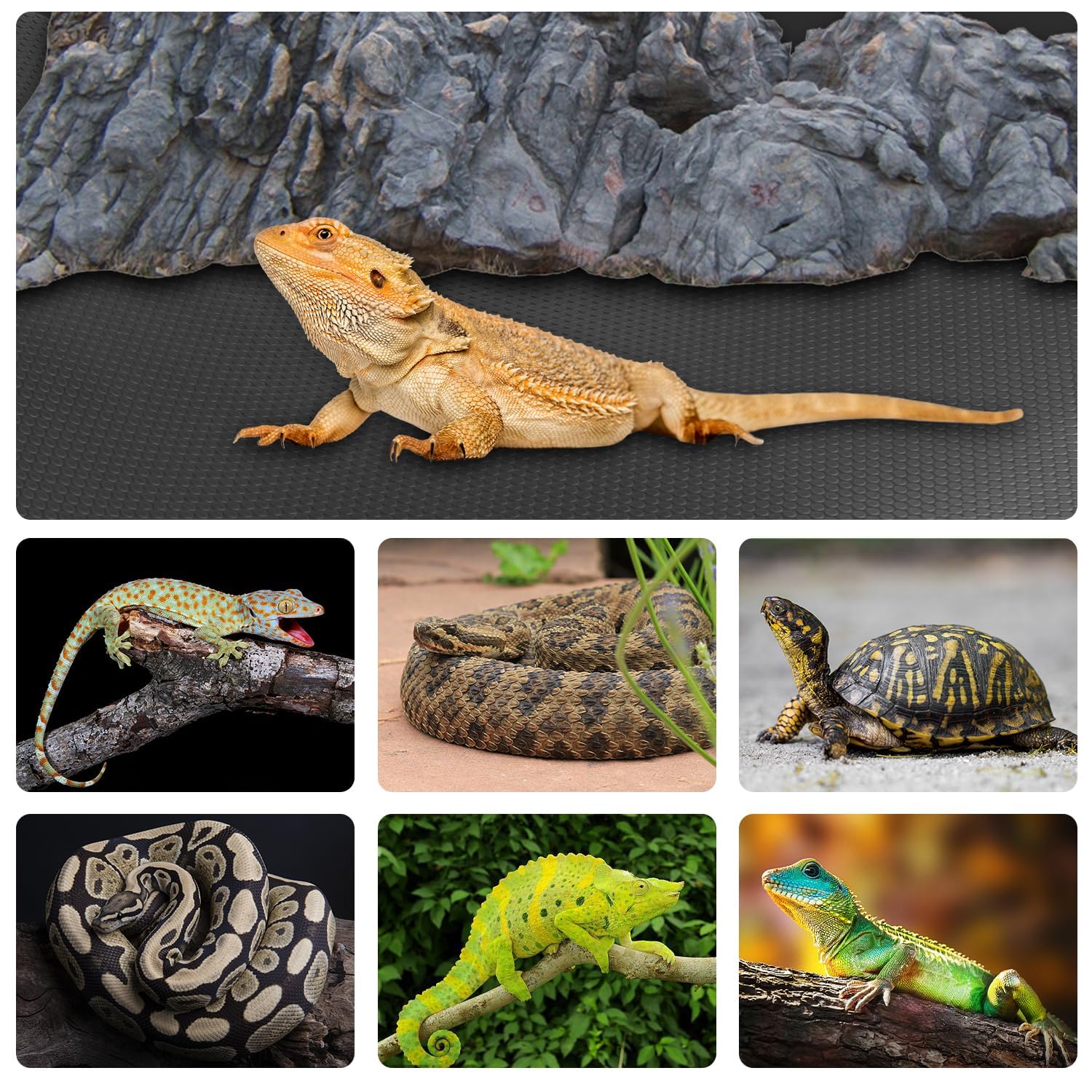 Hoplaep rolled 96x24-inch terrarium mat demonstrates easy-cut customization for 120-gallon tanks.