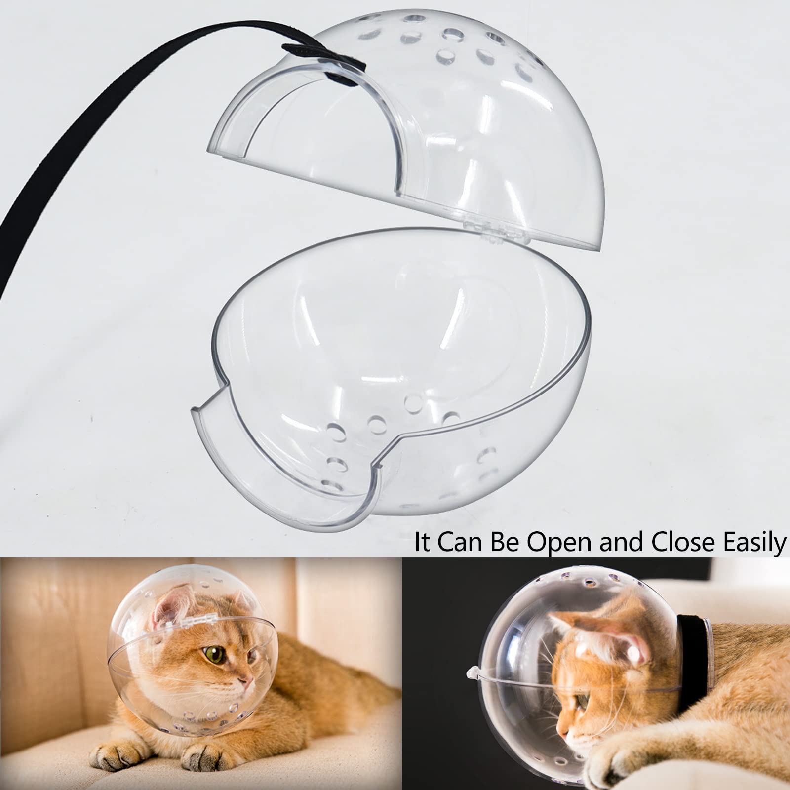 Hoqqf cat-nail-bath grooming-ready helmet supports short sessions without bites.