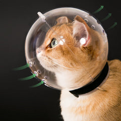 Hoqqf cat-transparent-muzzle-hood front view supports safe grooming sessions.