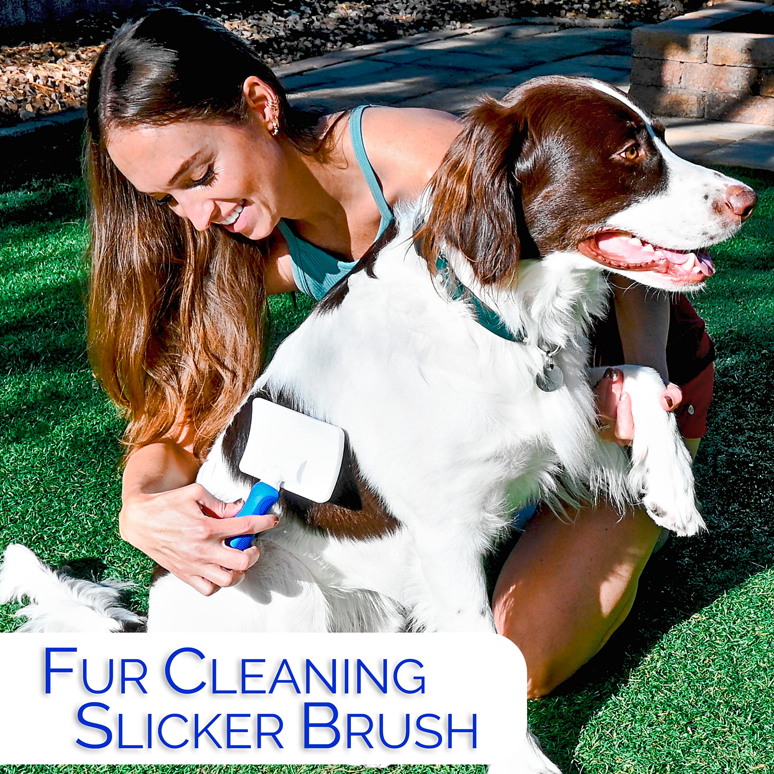 Horicon Pet dog-coat-care-setup demonstrates a versatile routine for medium-to-long coats.