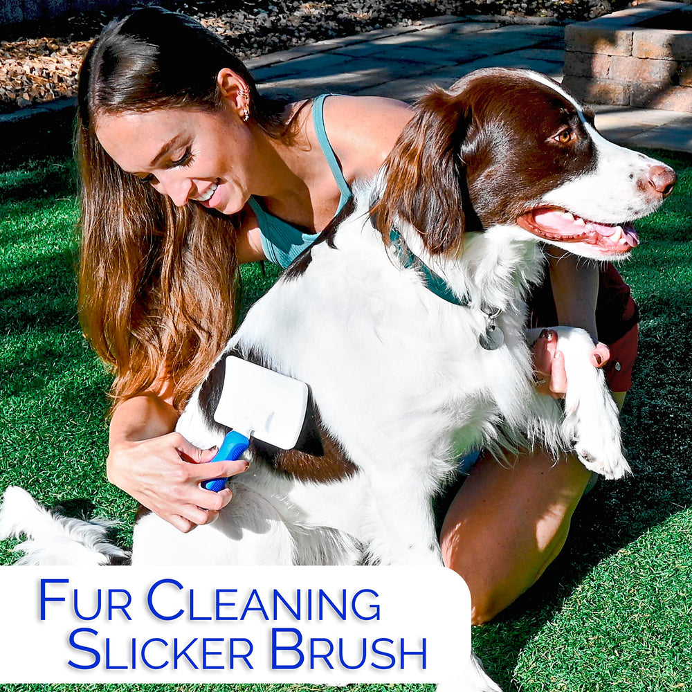 Horicon Pet dog-coat-care-setup demonstrates a versatile routine for medium-to-long coats.