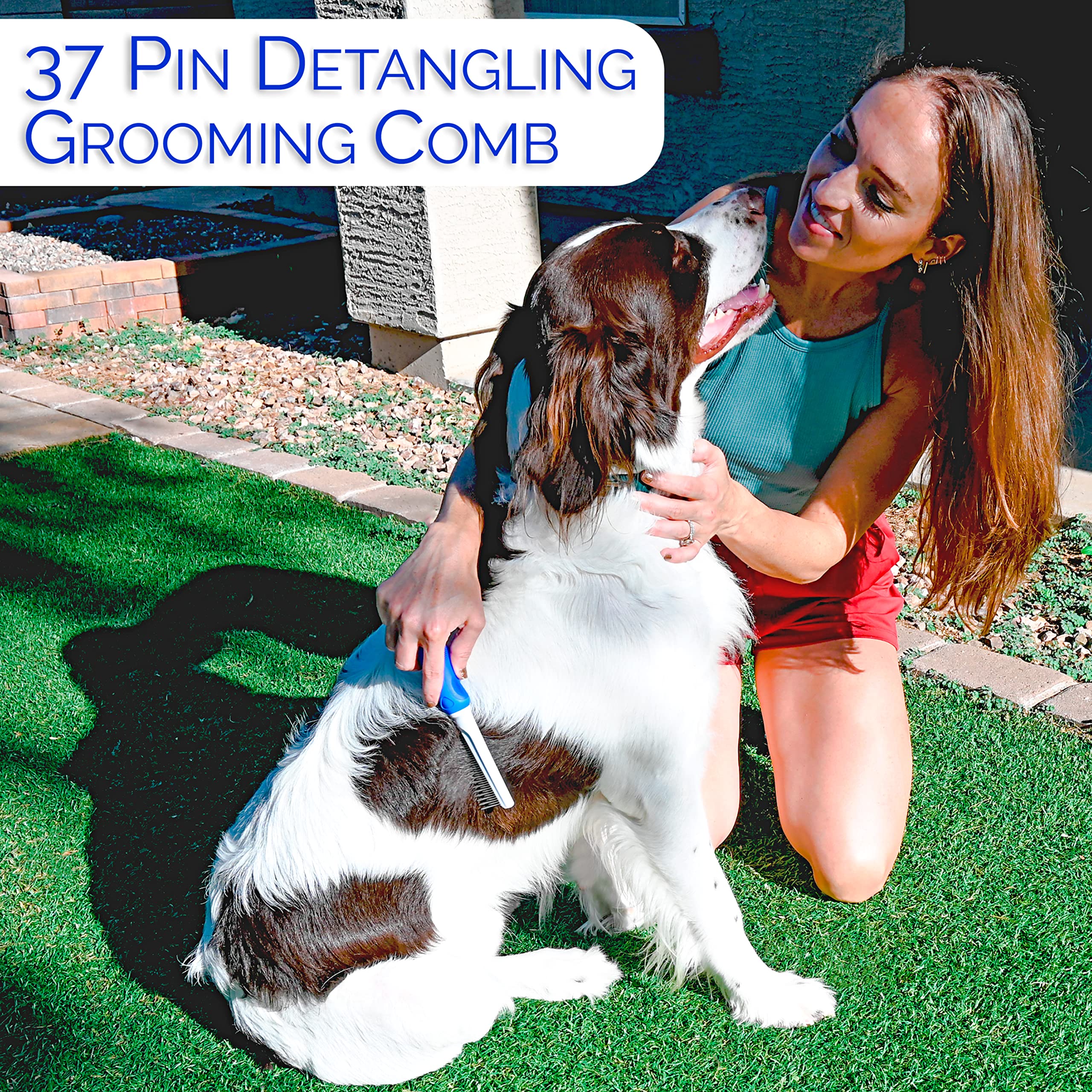 Horicon Pet multi-pet-grooming-kit makes home grooming simple for households with several dogs.