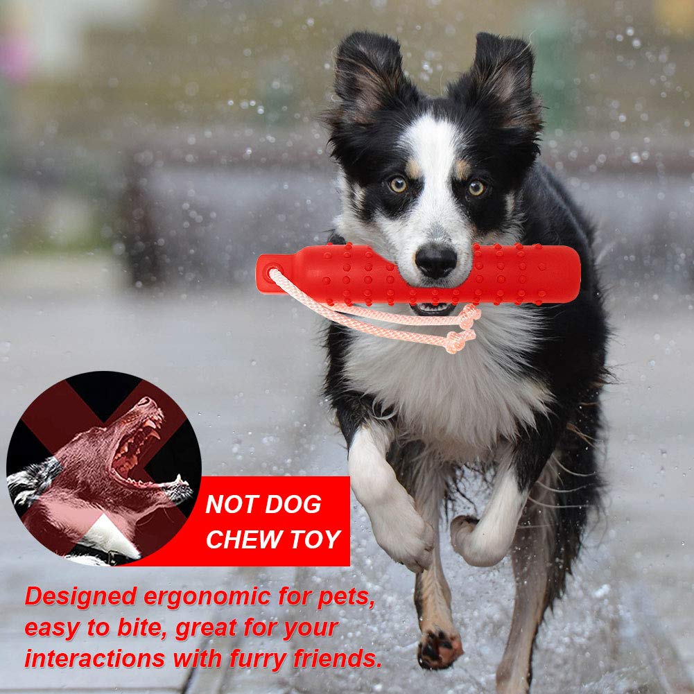 Horolas dog float toy dock-diving practice encourages confident water entry and retrieval.