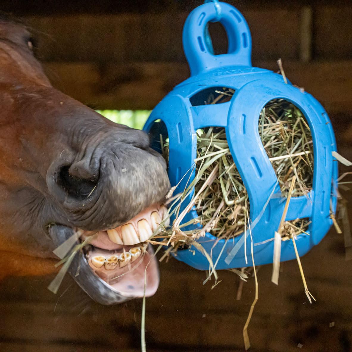 Horsemen's Pride Jolly Hay Ball blue filled with hay showing feeding option.