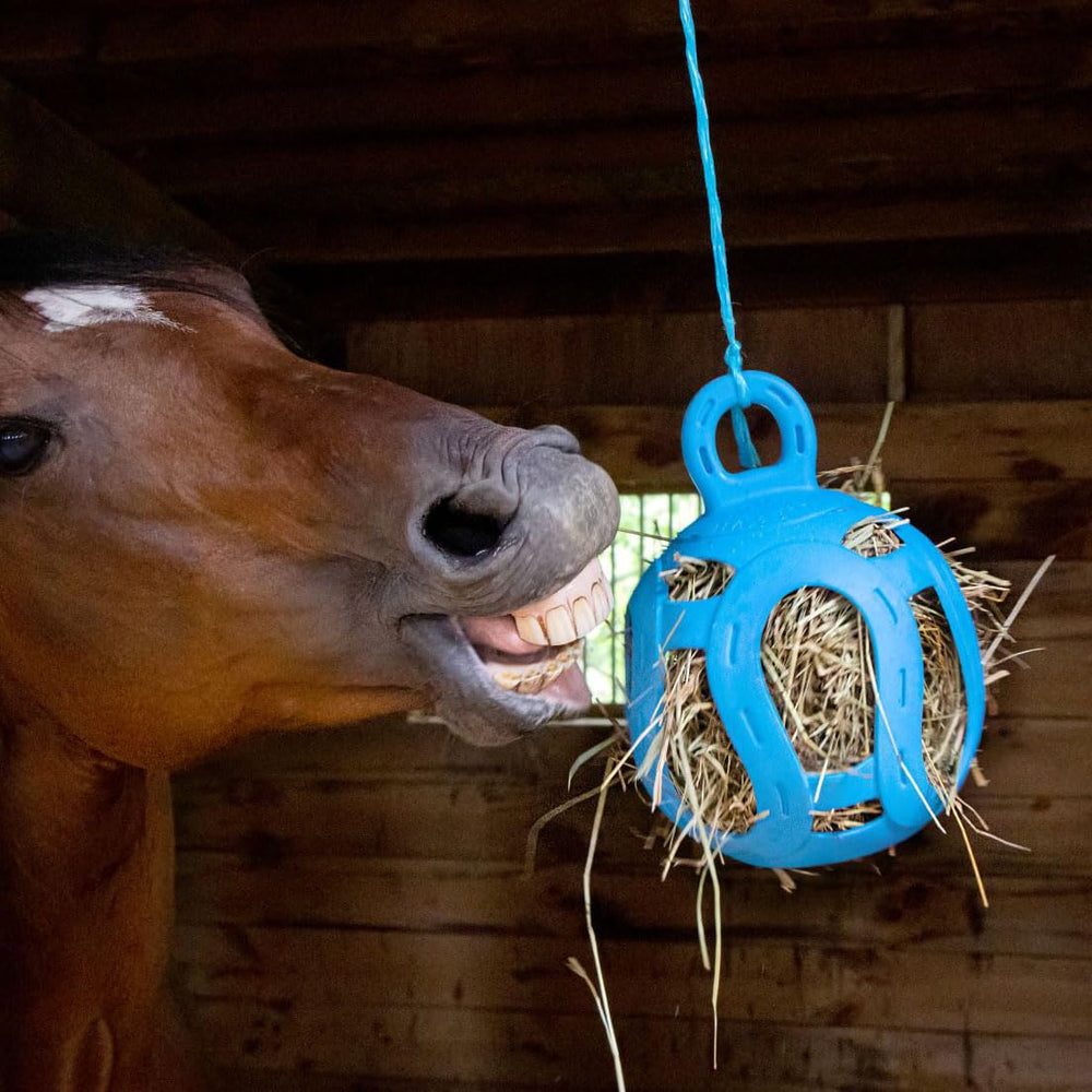 Horsemen's Pride Jolly Hay Ball blue hanging setup for stall time.