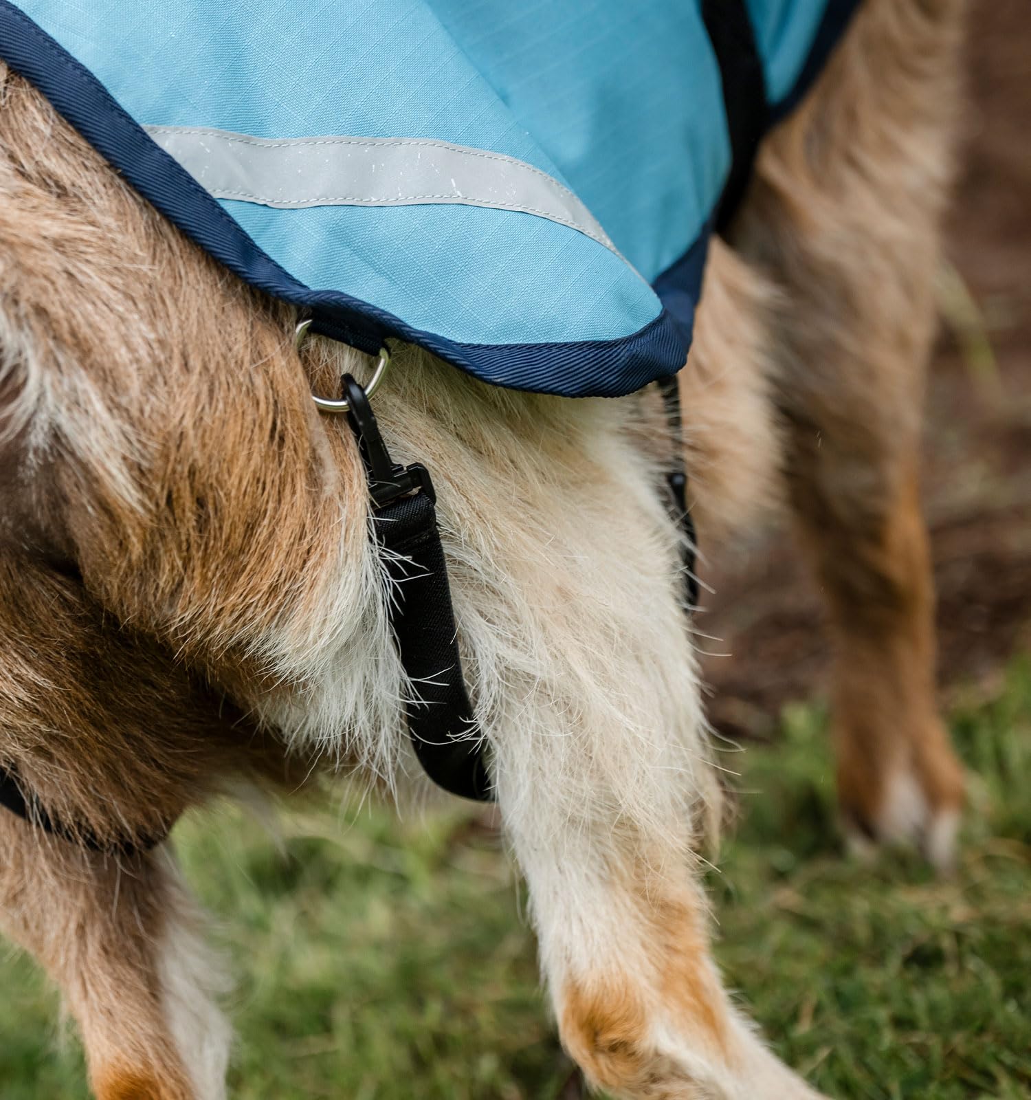 Horseware Goat Coat adjustable leg straps support flexible sizing across breeds
