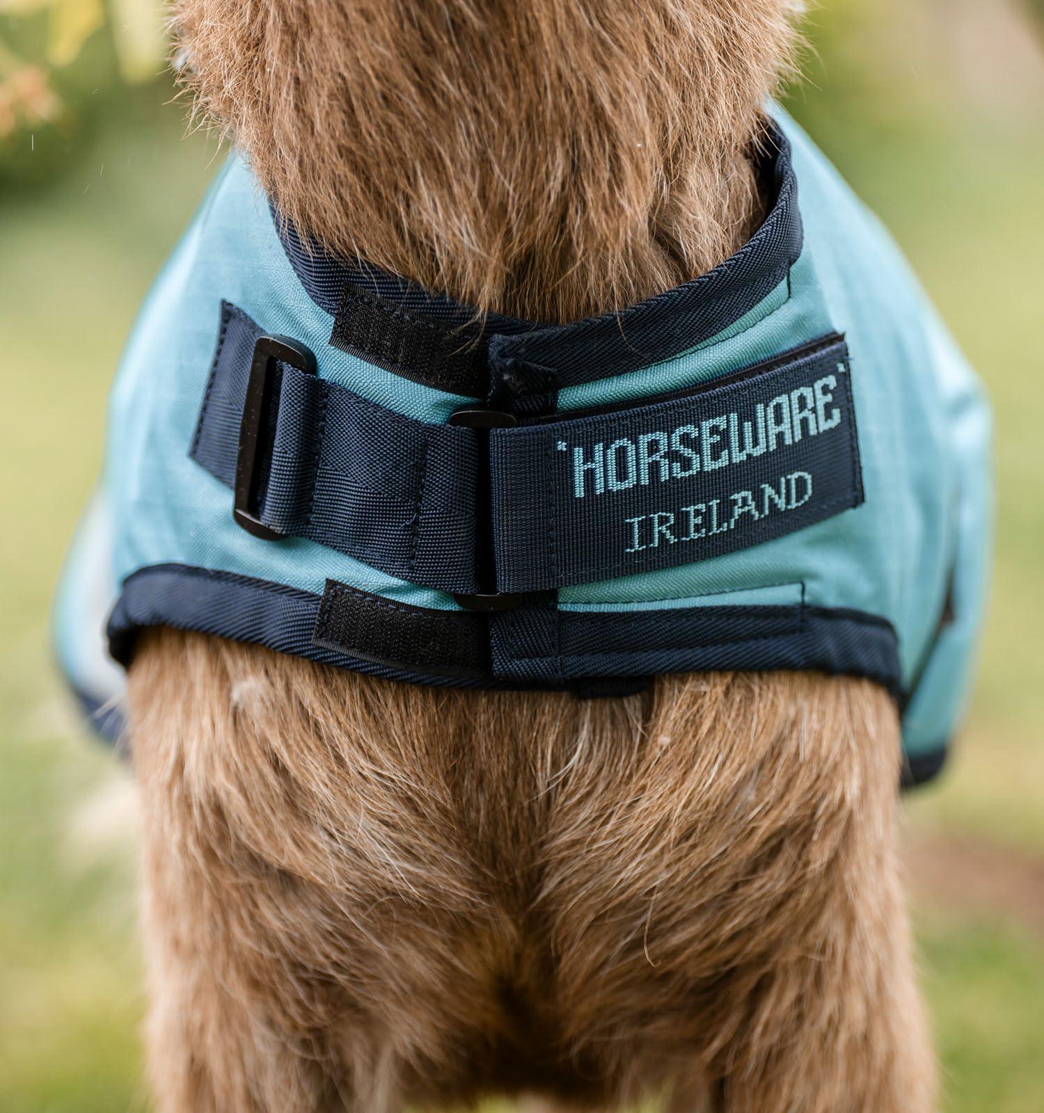 Horseware Goat Coat adjustable neck closure demonstrates secure, customizable fit