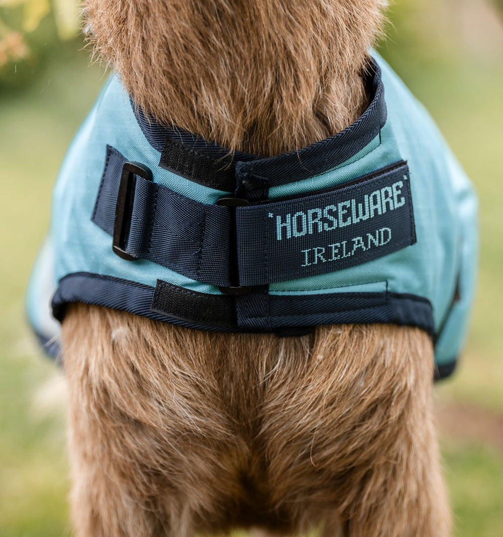 Horseware Goat Coat adjustable neck closure demonstrates secure, customizable fit