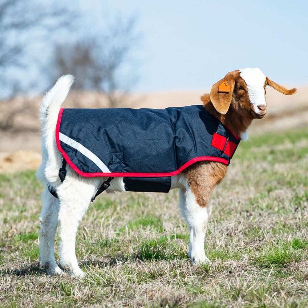 Horseware Goat Coat Excalibur Silver M front view keeps goats dry.