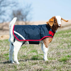 Horseware Goat Coat Excalibur Silver M front view keeps goats dry.
