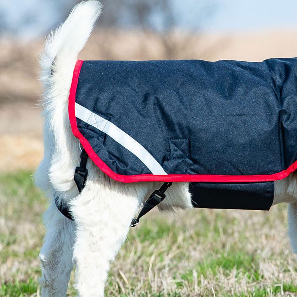 Horseware Goat Coat Excalibur Silver M side view showing leg straps.