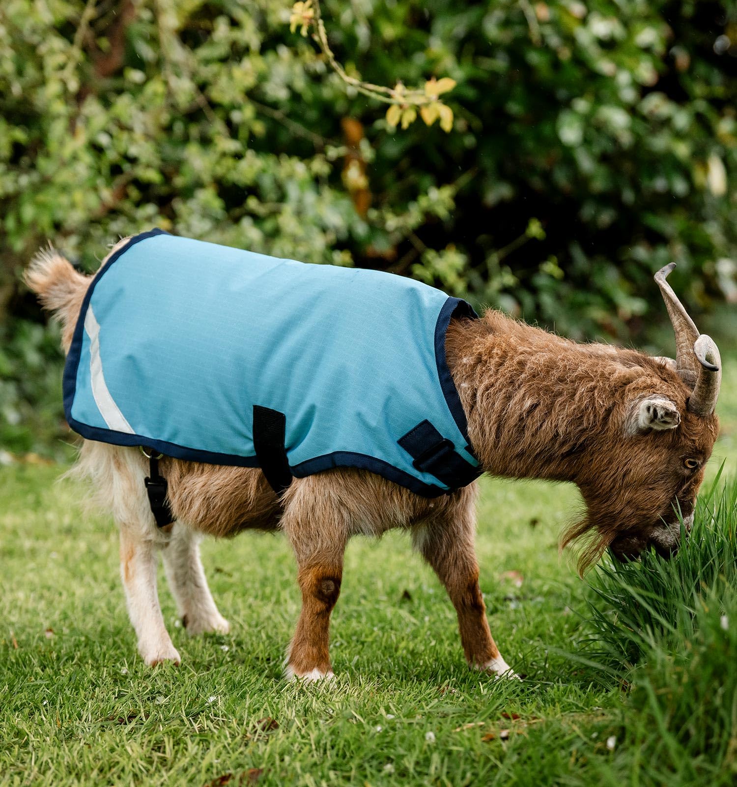 Horseware Goat Coat inside fastening adds security to prevent unfastening