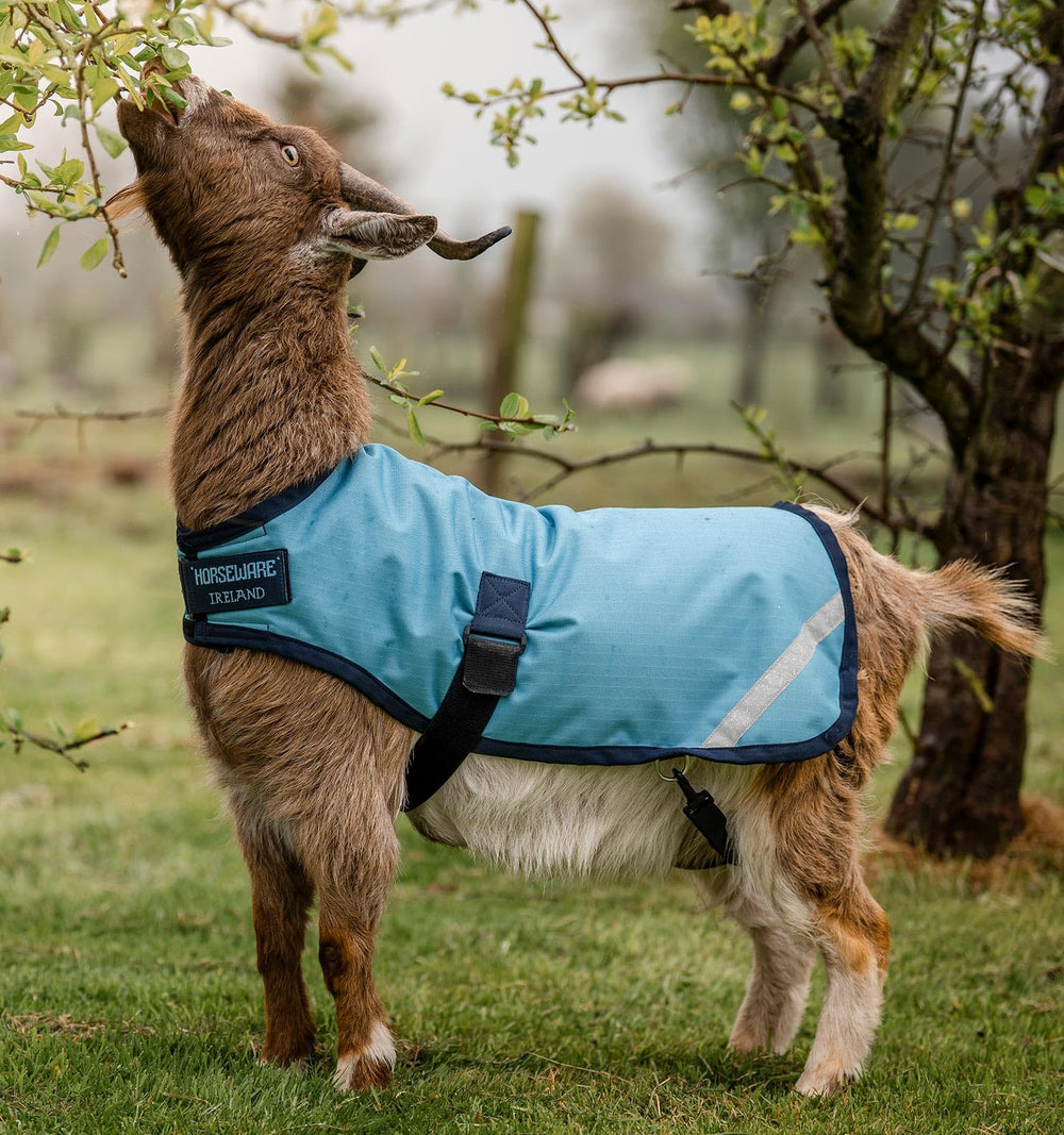 Horseware Goat Coat Thermobonded fiberfill demonstrates warm, lasting insulation for goats