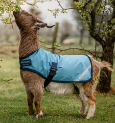 Horseware Goat Coat Thermobonded fiberfill demonstrates warm, lasting insulation for goats