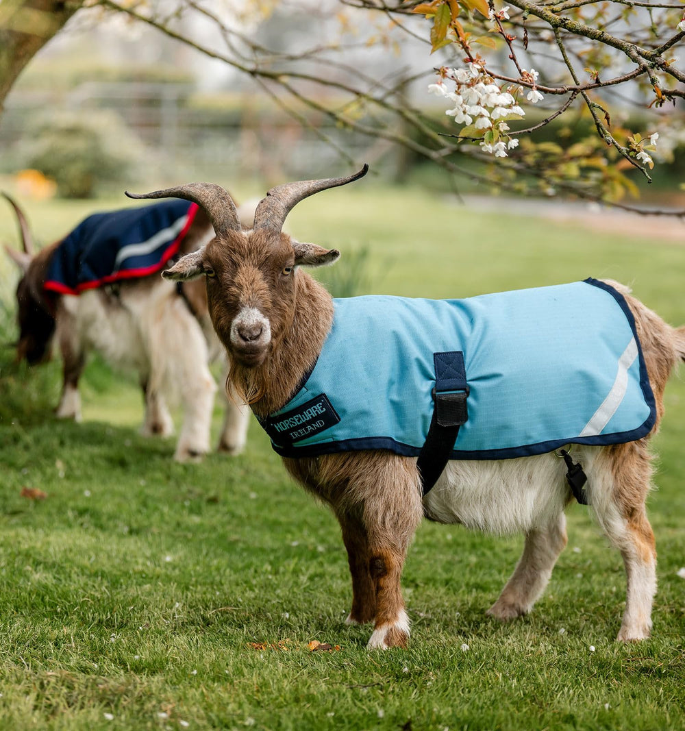 Horseware Goat Coat universal fit accommodates diverse goats with comfort