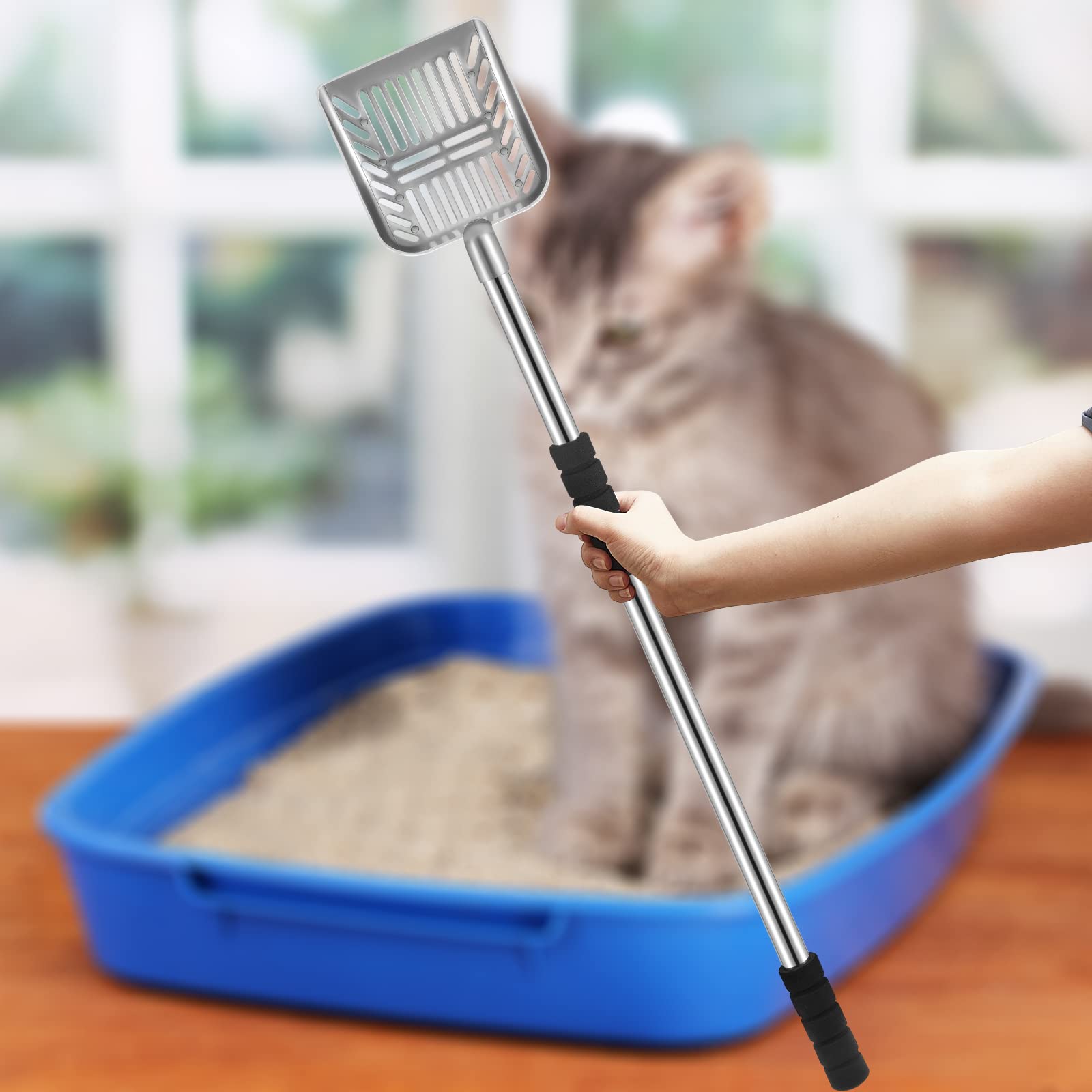 Hortsun gray packaging highlights a complete cat litter cleaning kit.