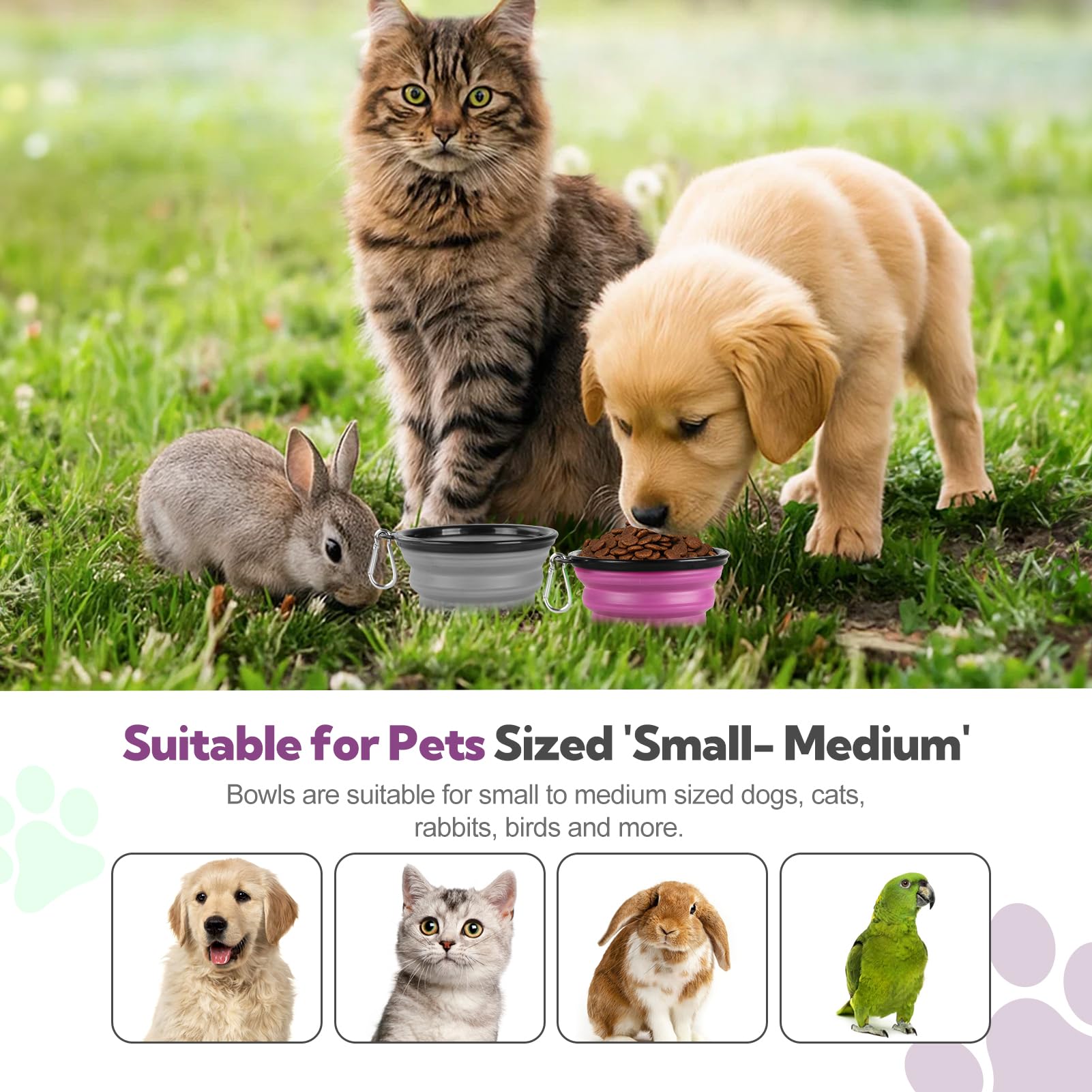 HOSCAPE odor-resistant bowl minimizes smells after muddy excursions