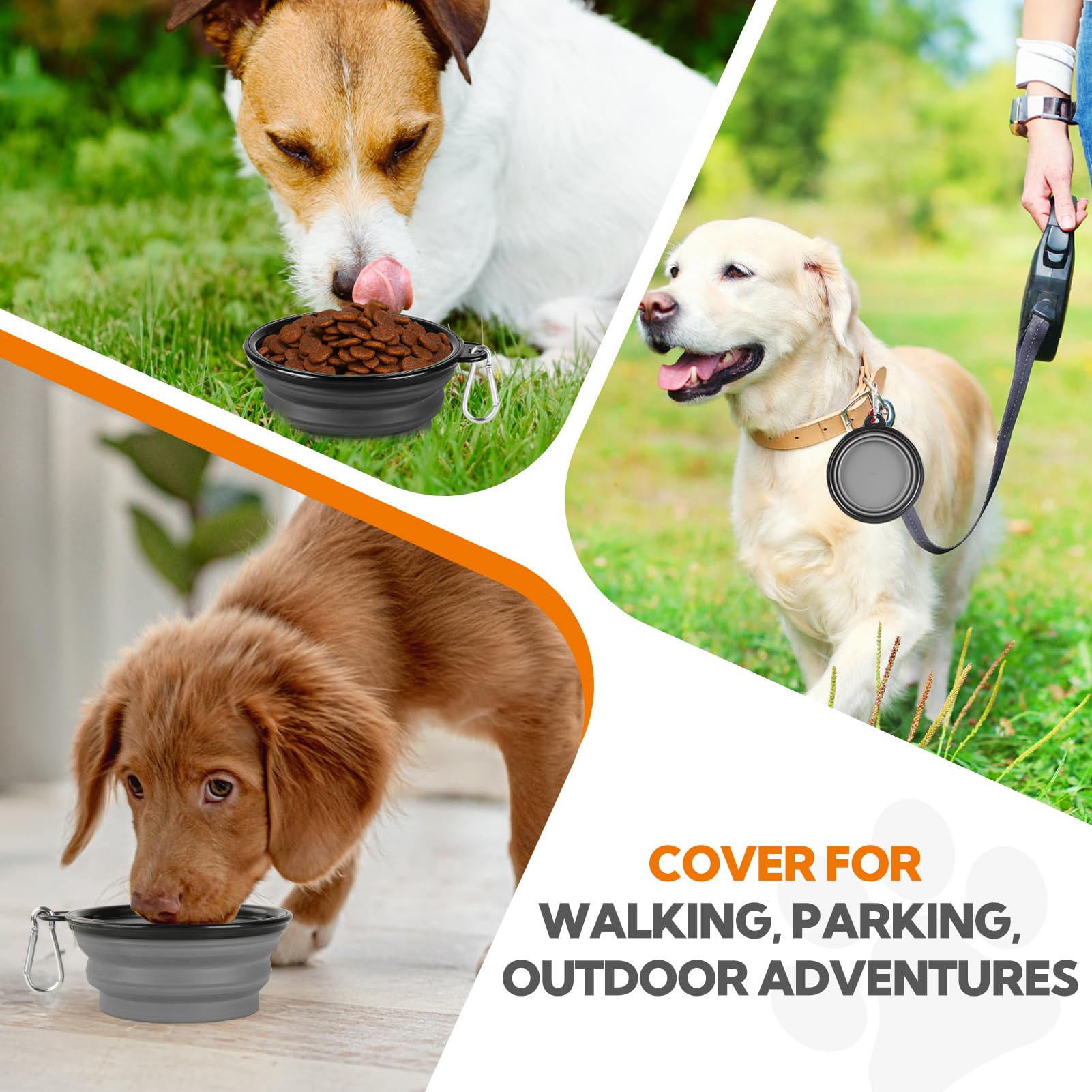 HOSCAPE all-adventure dog bowl suitable for small dogs and more.