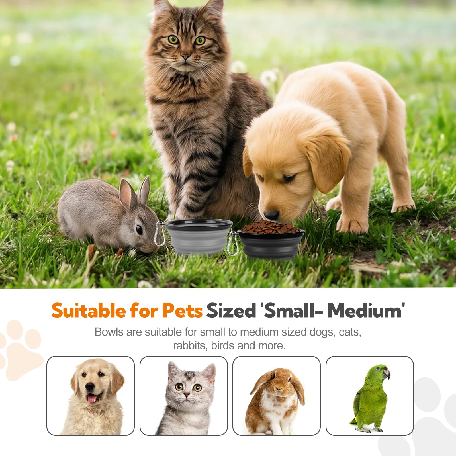 HOSCAPE travel hydration solution for pets during walks, hikes, or camping.