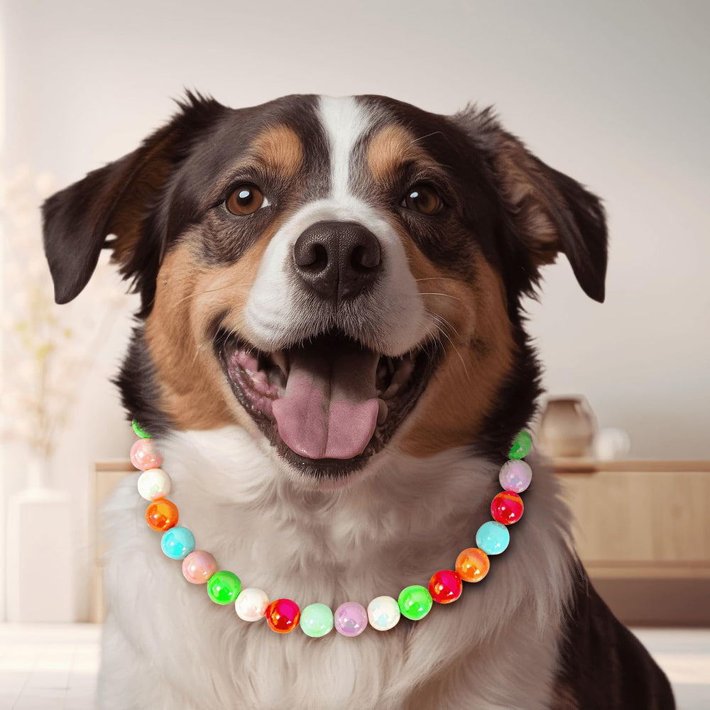Hosiwei dog collar suitable for weddings, holidays, and festive photos.