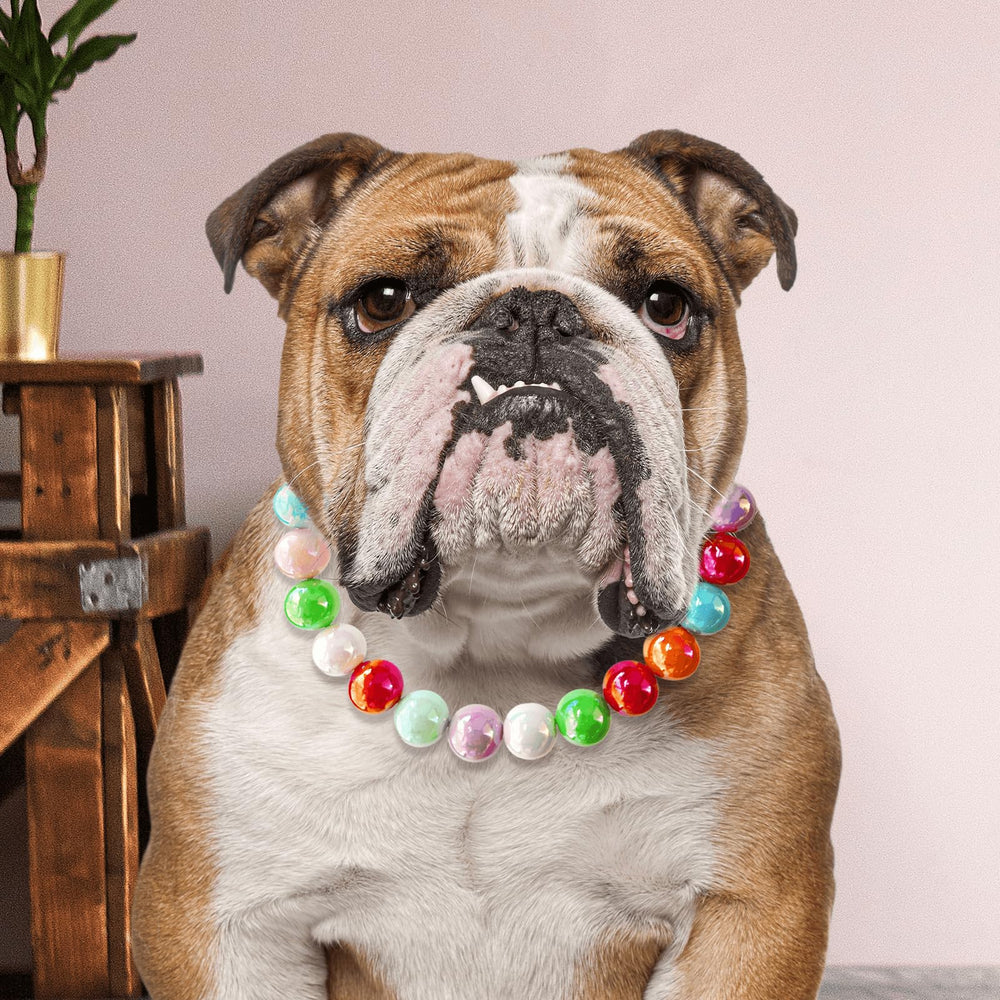 Hosiwei handmade pet jewelry adds glamour to snapshots and daily adventures.