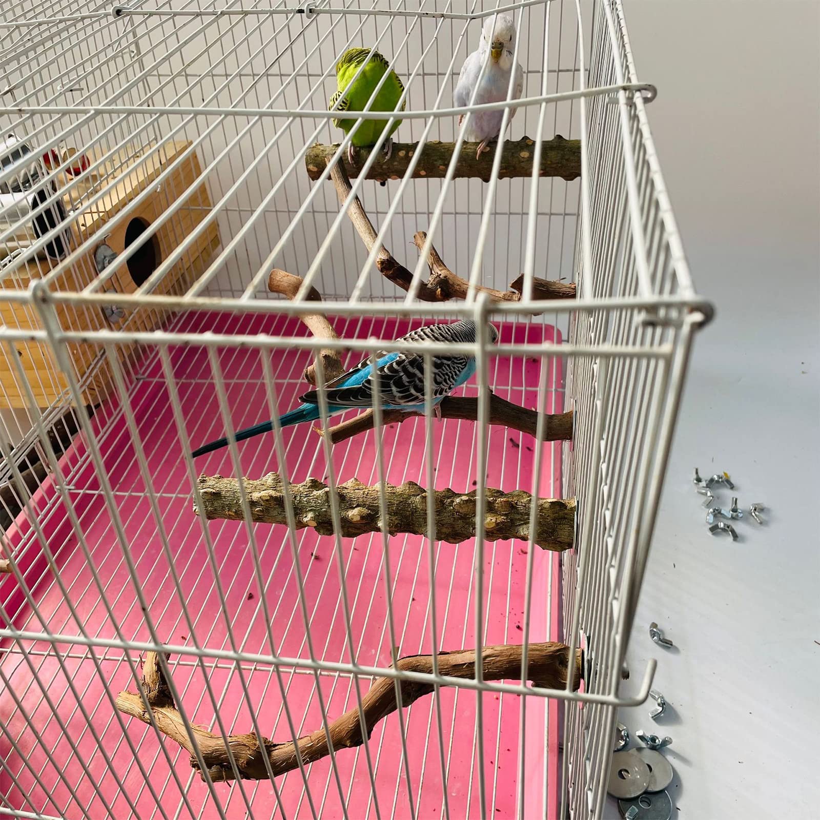 Hosukko paw grinding chewing stick offers safe chewing and beak exercise.