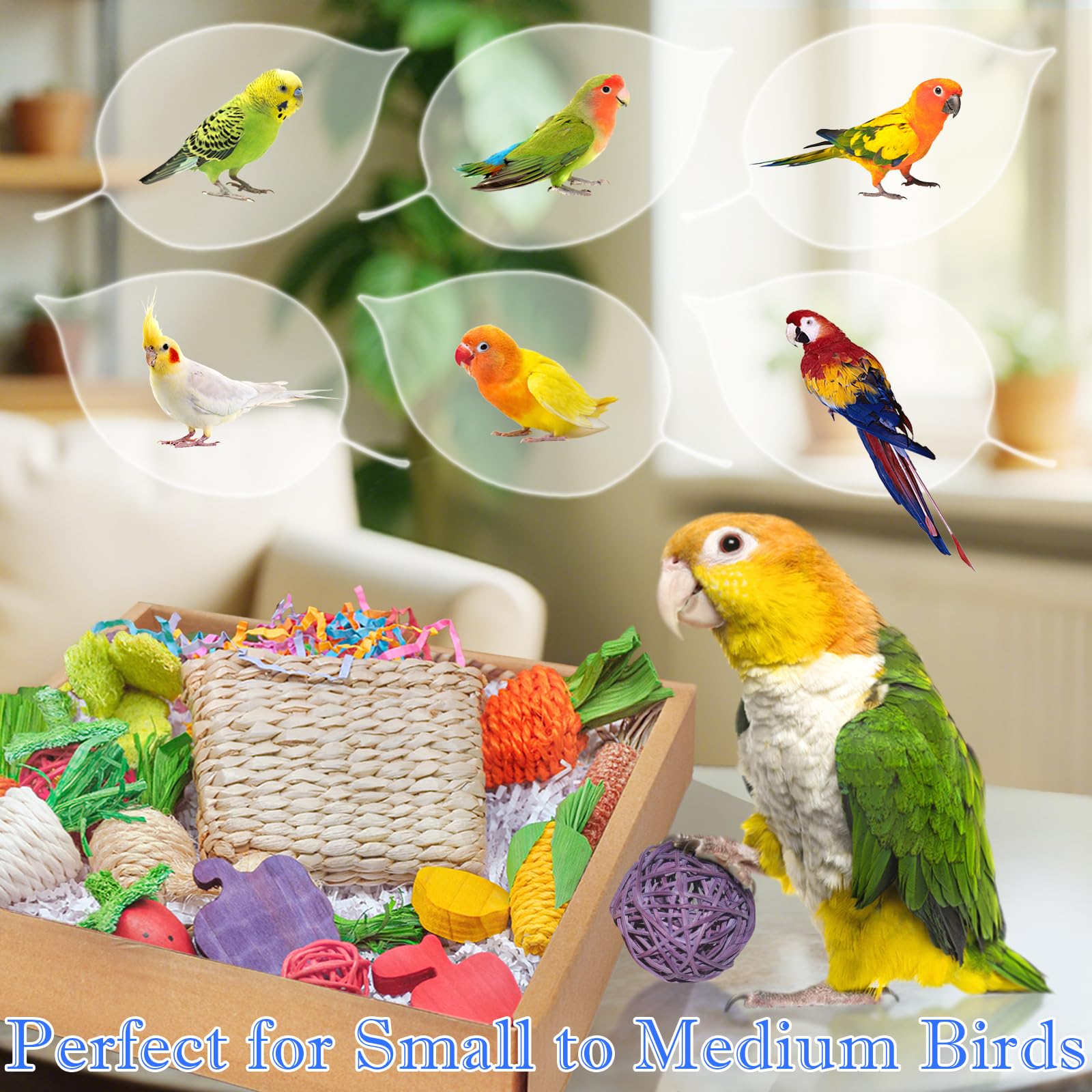 HOSUKU Bird cage or tabletop play setup supports versatile enrichment