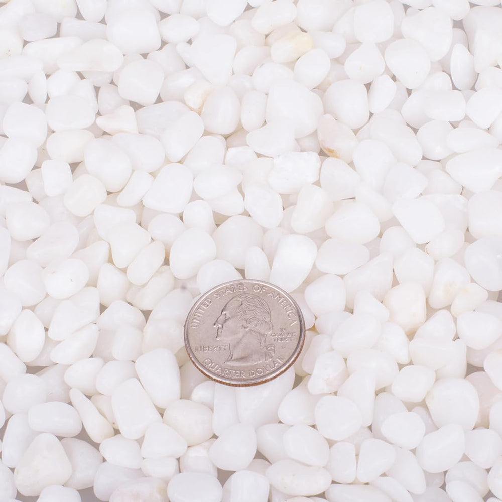 HOT SEAL white gravel in tank display showcases bright decorative substrate for fish and plants.