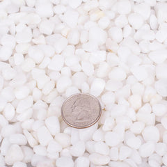 HOT SEAL white gravel in tank display showcases bright decorative substrate for fish and plants.