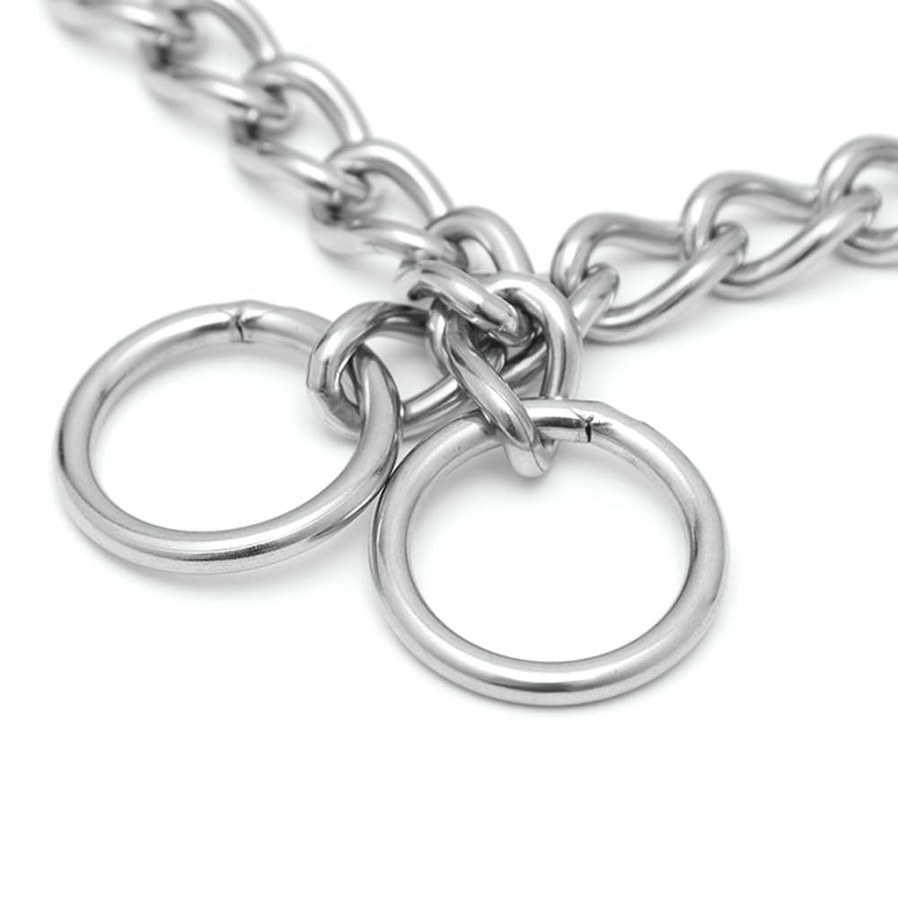 Hotlion choke collar buckle-detail emphasizes secure fit and reliable retention.