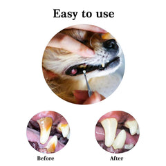 Hotop dental scaler usage steps image illustrating safe handling and effective tarter removal