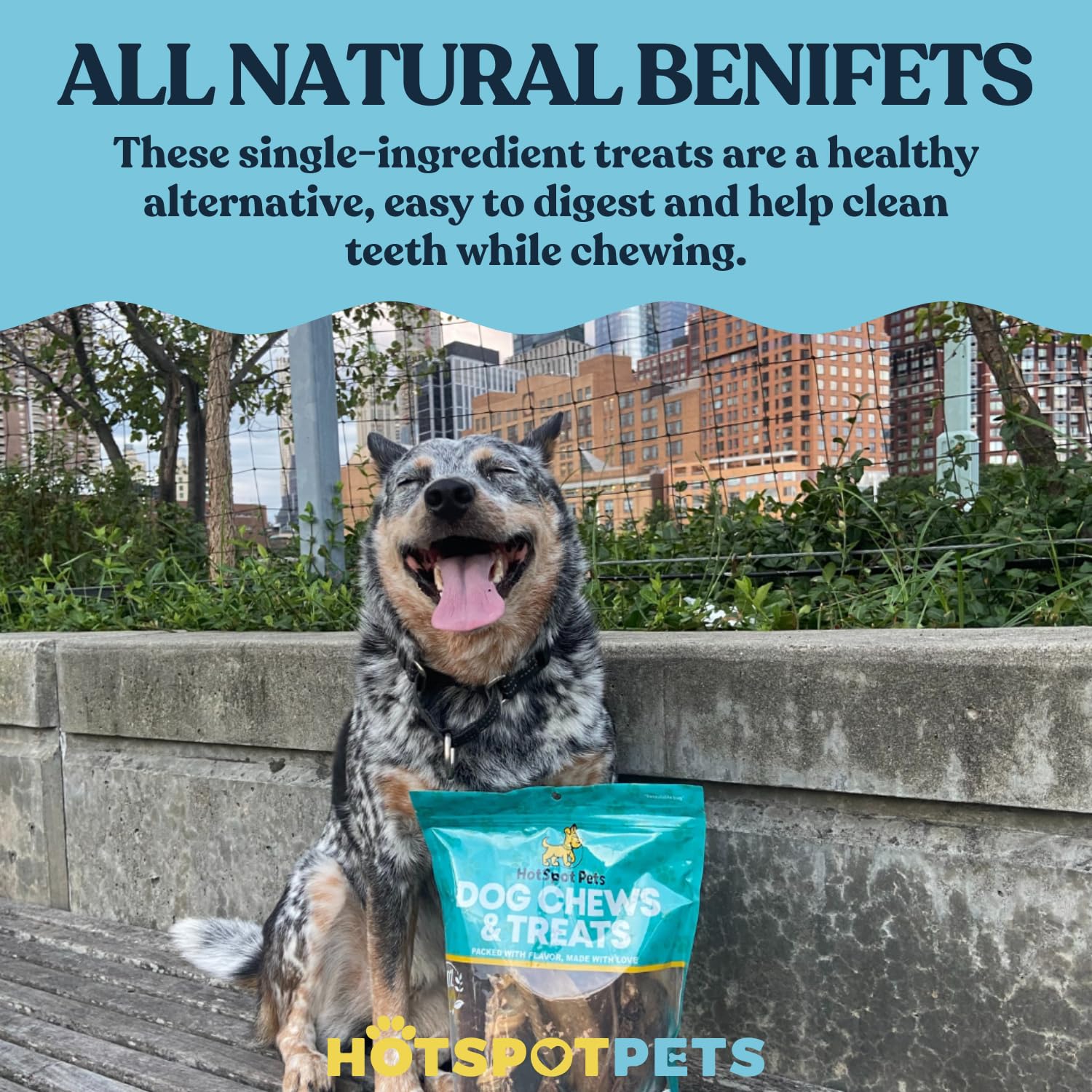 Hotspot Pets 100-percent beef muscle ingredients highlight single-ingredient, pure chew option