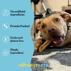Hotspot Pets 6-inch strip chew demonstrates how dogs enjoy a long-lasting chew.