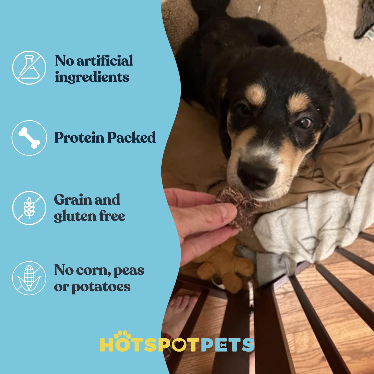 hotspot pets beef lung treats dehydrated slices display textures and savory aroma