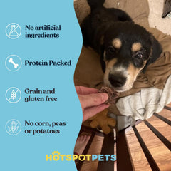 hotspot pets beef lung treats dehydrated slices display textures and savory aroma