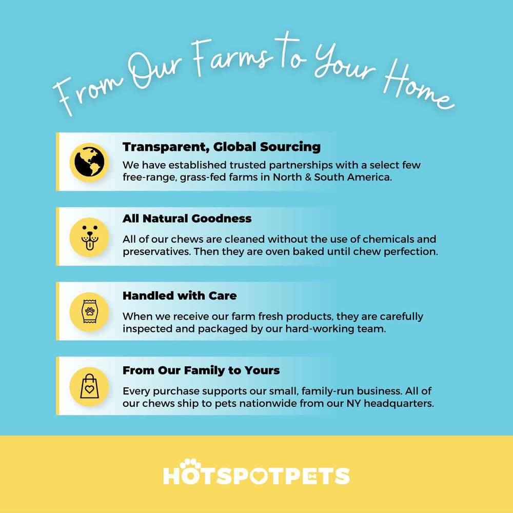 hotspot pets beef lung treats dog eating scene demonstrates active reward during training