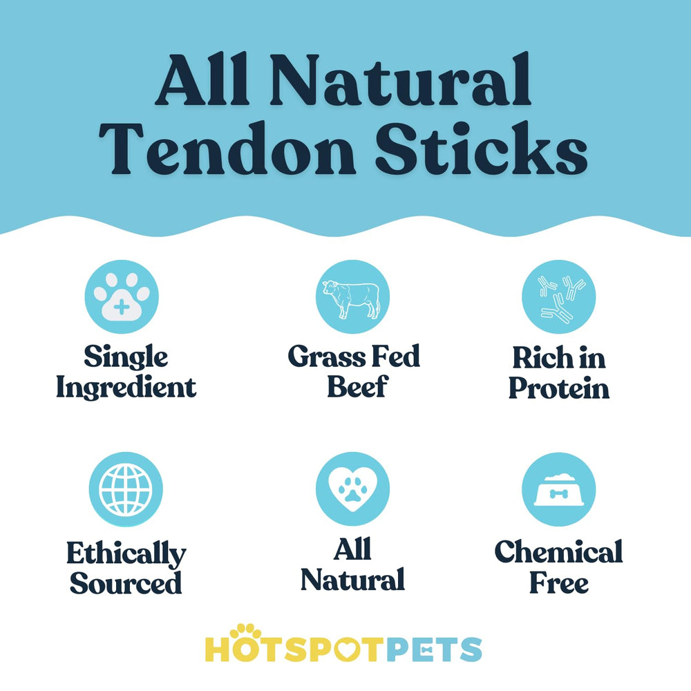 Hotspot Pets Beef Tendon Chews in action, dog chewing.