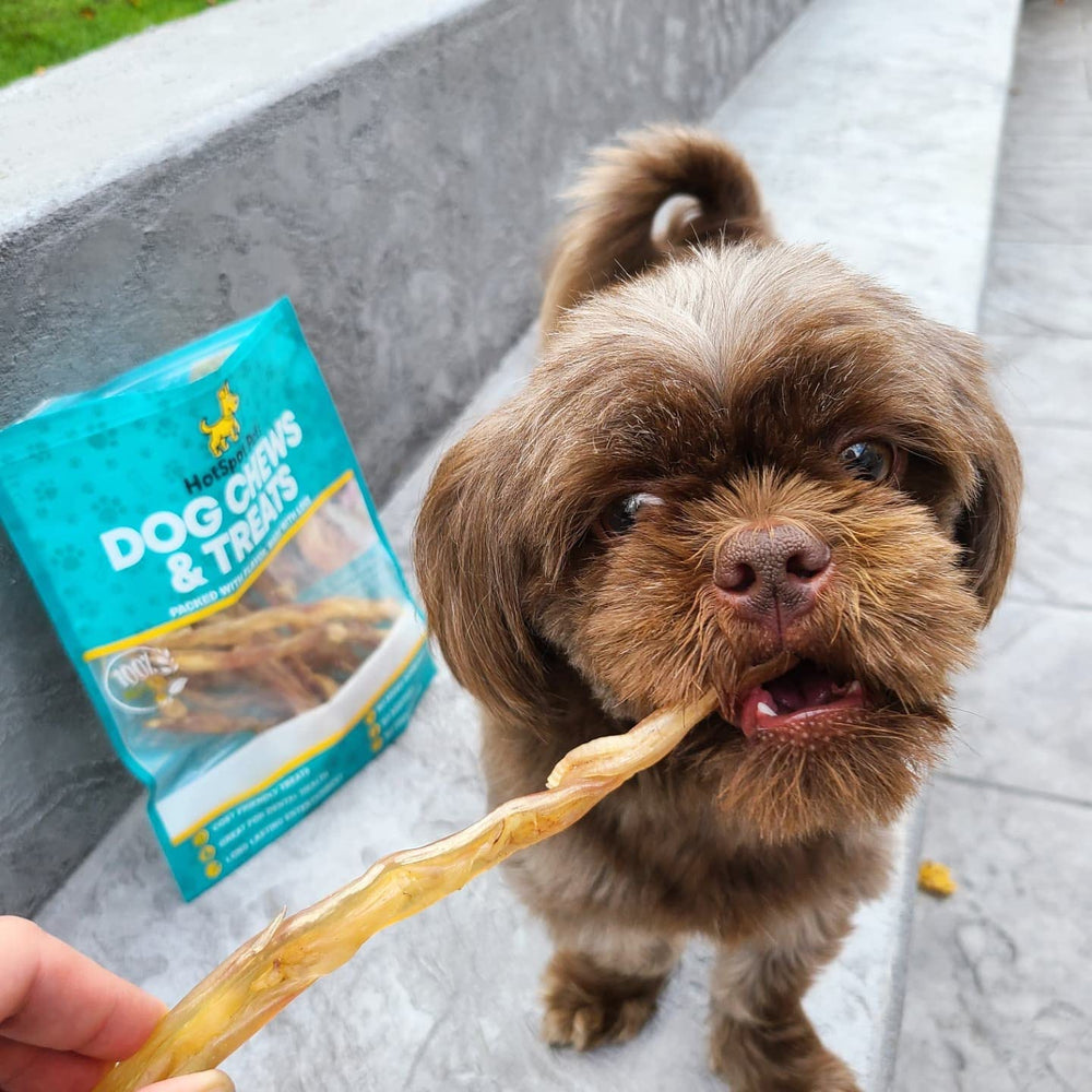 Hotspot Pets Beef Tendon Chews glucosamine and chondroitin content.