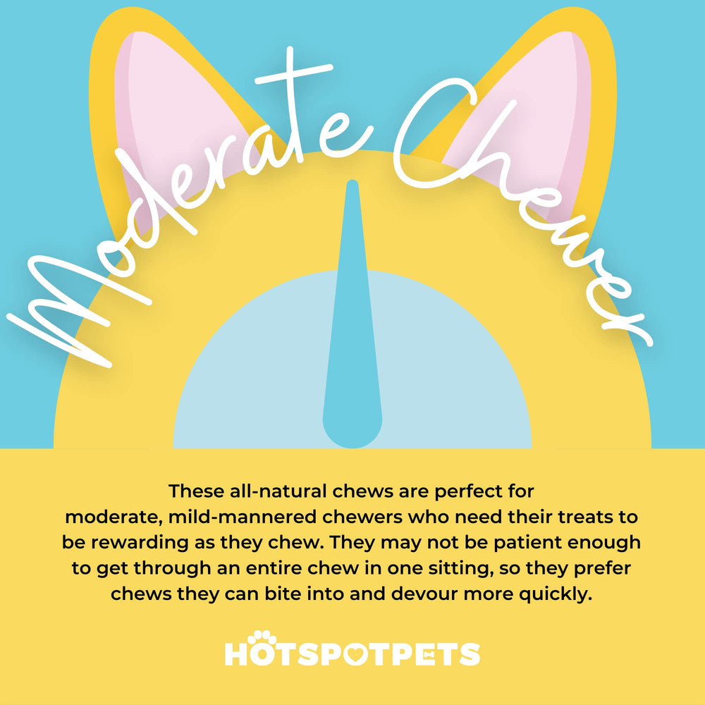 Hotspot Pets Beef Tendon Chews pack 10-count.