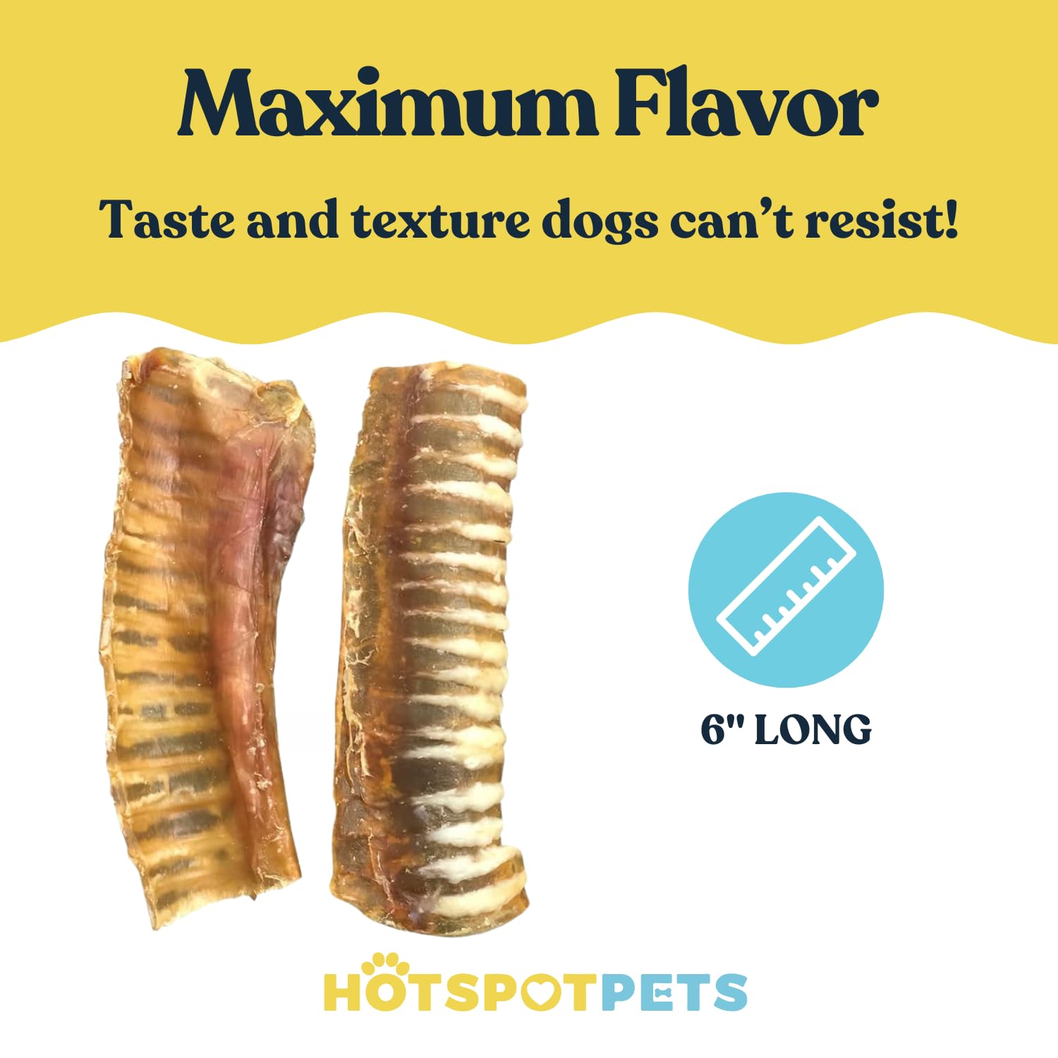 Hotspot Pets beef trachea texture closeup highlights chewy, durable bite