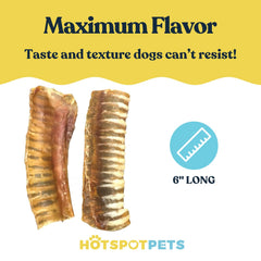 Hotspot Pets beef trachea texture closeup highlights chewy, durable bite