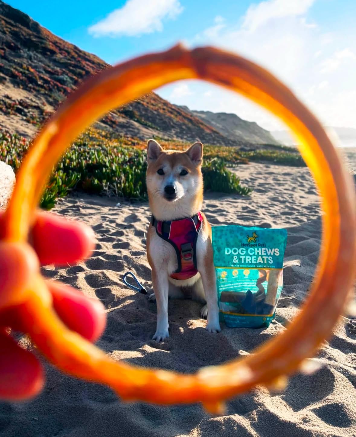 Hotspot Pets Bully Stick Rings low-odor feature, minimizes indoor mess during chewing.