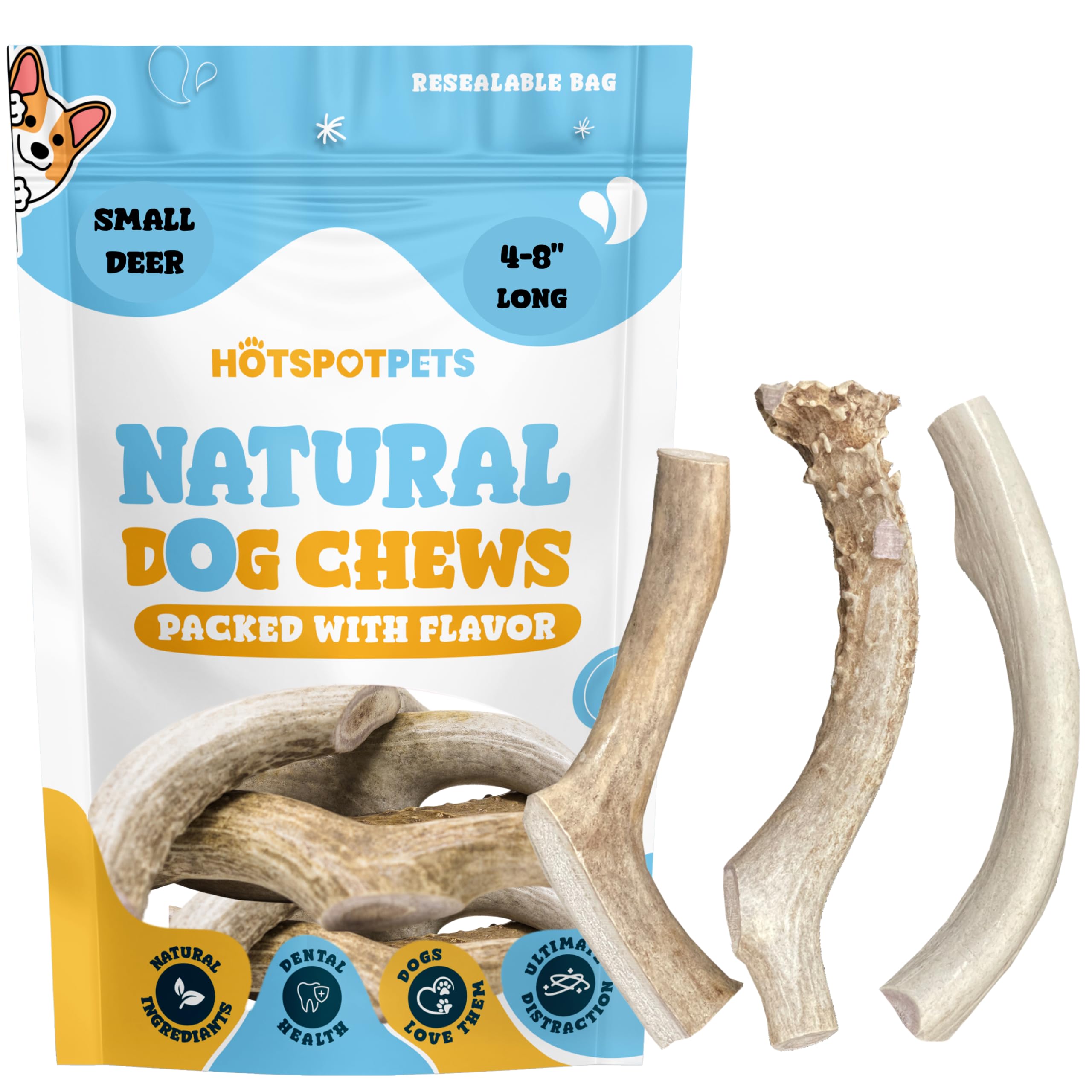Dog enjoying a long-lasting chew from Hotspot Pets deer antlers